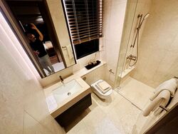 Upperhouse At Orchard Boulevard (D10), Apartment #458273721